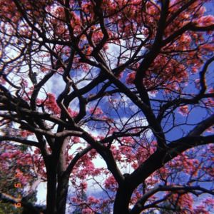 Meet your Posher, Byrdie